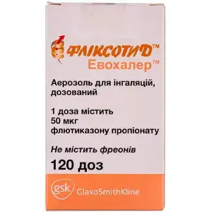 Фликсотид Эвохалер аэрозоль для ингаляций дозированный, 125 мкг/дозу, 120 доз