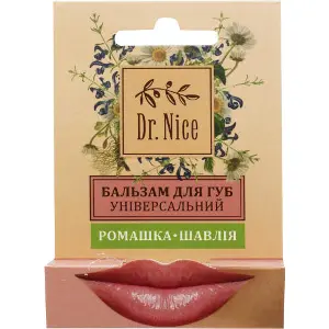 Бальзам для губ DR.NICE (Доктор Найс) Універсальний 4,6 г Бальзам для губ DR.NICE (Доктор Найс) Універсальний 4,6 г
