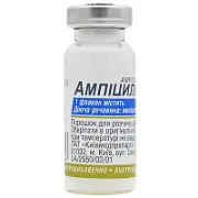 Ампіцилін порошок для розчину для ін'єкцій по 0,5 г, 1 шт.