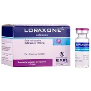 Лораксон порошок для розчину для ін'єкцій по 1000 мг у флаконі, 12 шт.