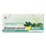 БОРОВАЯ МАТКА табл. 500 мг № 40