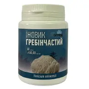 Ежовик гребенчатый капсулы по 450 мг флакон 60 шт