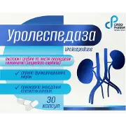 Уролеспедаза сприяє функціонуванню нирок та сечовивідних шляхів, прискорює виведення азотистих шлаків капсули 3 блістери по 10 шт Creo Pharm