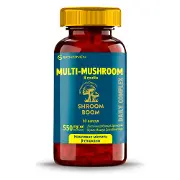 Мульти-Машрум Дейлі Комплекс SHROOMBOOM (Шрумбум) диетическая добавка капсулы 60 шт