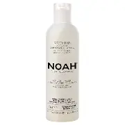 NOAH Hair Маска для нейтрализации жовтого тона с чорницей 250мл