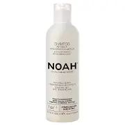 NOAH Hair Шампунь для нейтралізації жовтого тону з чорницею 250мл