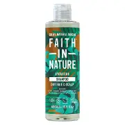 Шампунь Faith in Nature натуральний з кокосом 400мл
