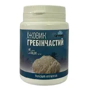 ЕЖОВИК ГРЕБЕНЧАТЫЙ КАПСУЛЫ 450 МГ №60