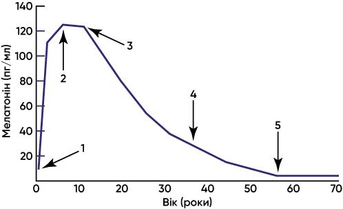  Вікові зміни секреції мелатоніну в організмі людини